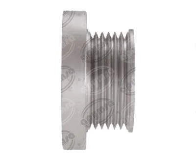 POLEA ALTERNADOR S/CLUTCH VALEO PLATINA CLIO 6 RAN 3011301 VALUE
