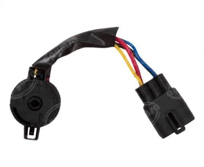 PASTILLA DE ENCENDIDO C/ARNES FORD FIESTA IKON KA COURIER 4 TER 2928408 DYNAMIC