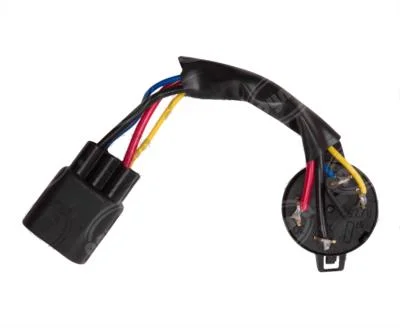 PASTILLA DE ENCENDIDO C/ARNES FORD FIESTA IKON KA COURIER 4 TER 2928408 DYNAMIC