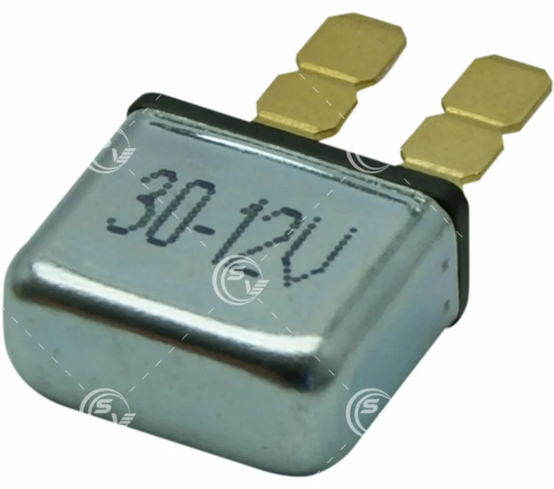 FUSIBLE TERMICO ENCHUFE TERMINALES LARGAS 30A C25D016 CUB