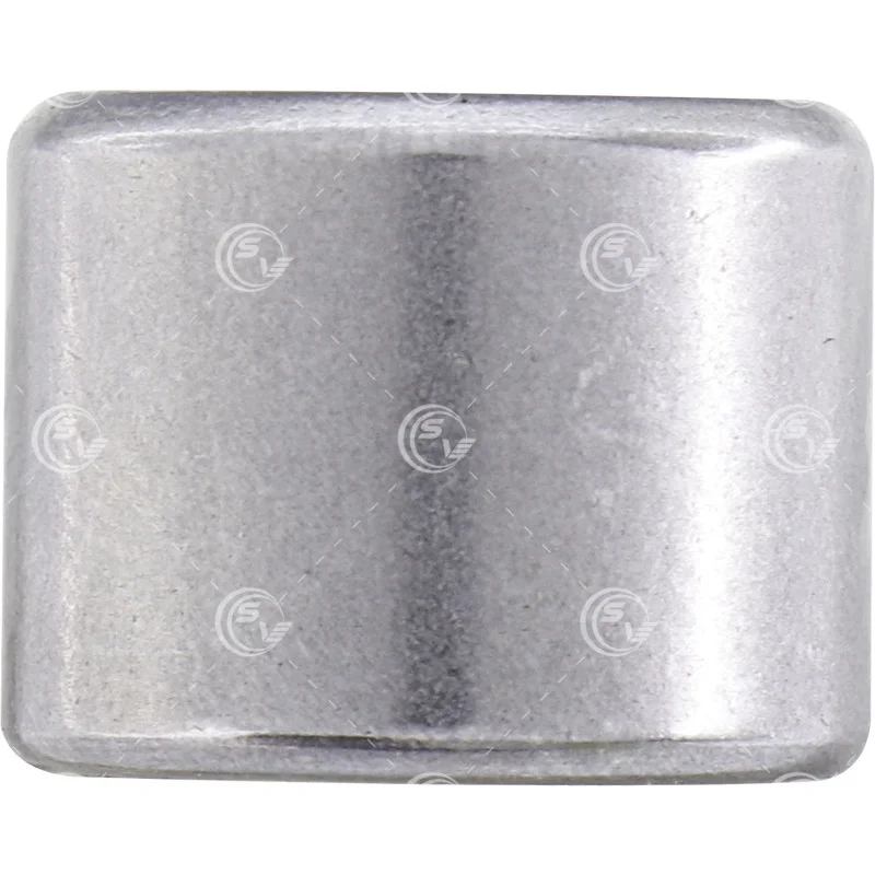 BALERO PFI RODILLO MARCHA DELCO 5MT DD SD250 SD255 SD260 B8118